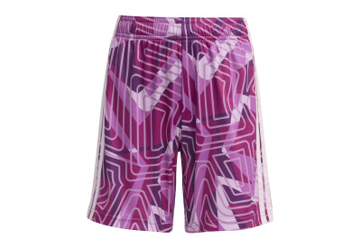 Dětské brankářské trenky adidas Tiro 26 Competition