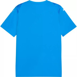 Dres Puma teamULTIMATE