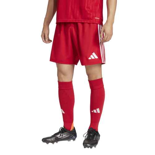 Trenky adidas Tastigo 25