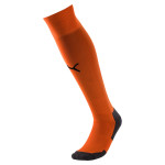 Stulpny Puma LIGA Core