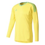 Dětský brankářský dres adidas Revigo 17