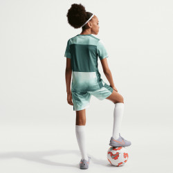 Dětský tréninkový dres Nike Academy+