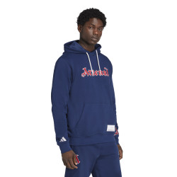 Mikina s kapucí adidas Arsenal FC US Pack