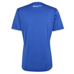 Dětský tréninkový dres adidas Entrada 26 SK Rapid Psáry