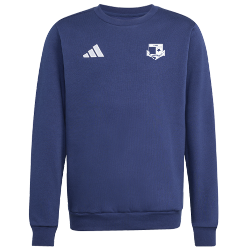 Mikina adidas Entrada 26 SK Rapid Psáry