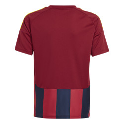 Dětský dres adidas Striped 24 krátký rukáv