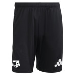 Dětské tréninkové šortky adidas Entrada 26 SK Rapid Psáry