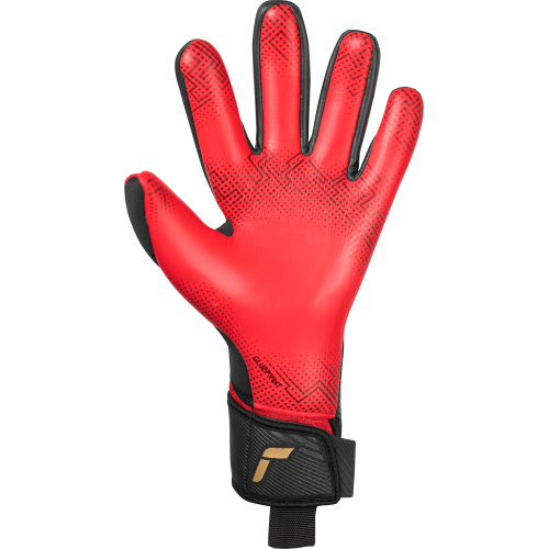 Brankářské rukavice Reusch Fastgrip Gold X GluePrint