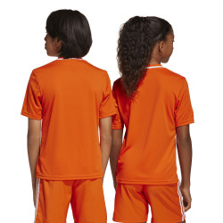 Dětský dres adidas Campeon 25