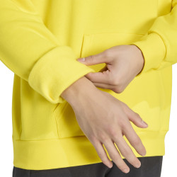 Mikina s kapucí adidas Entrada 26