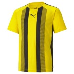 Dětský dres Puma teamLIGA Striped