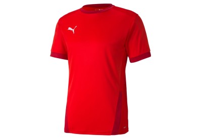Dres Puma teamGOAL 23