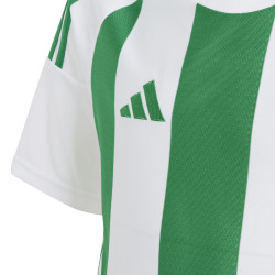 Dětský dres adidas Striped 24 krátký rukáv