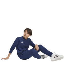 Dětská mikina adidas Entrada 26 Sweat Top