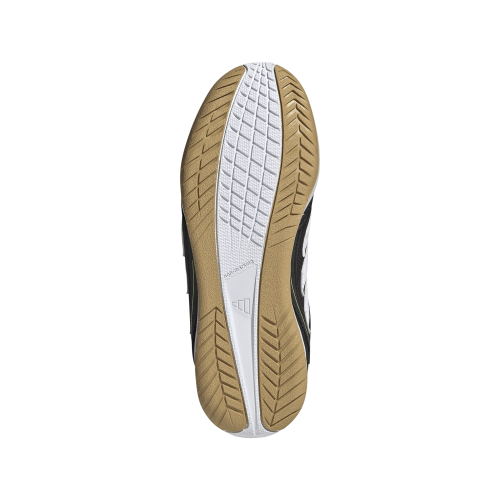 Dětské sálové kopačky adidas Copa Indoor Court League