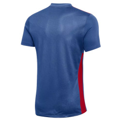 Dětský dres Nike Park Derby IV