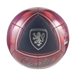 Fotbalový míč Puma Česko CULTURE