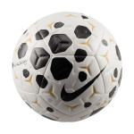 Fotbalový míč Nike Academy Plus