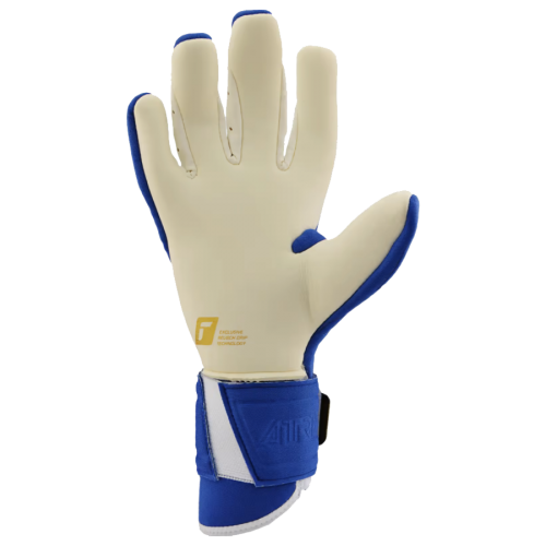 Brankářské rukavice Reusch Arrow Gold X