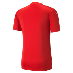 Dres Puma teamGLORY