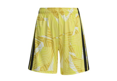 Dětské brankářské trenky adidas Tiro 26 Competition