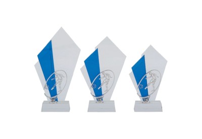 Skleněná trofej EDICE FOTBAL