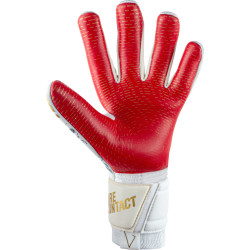 Brankářské rukavice Reusch Pure Contact Gold X GluePrint