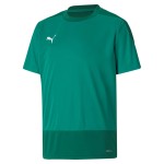 Dětský tréninkový dres Puma teamGOAL 23
