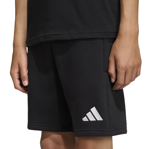 Dětské kraťasy adidas Entrada 26 Sweat