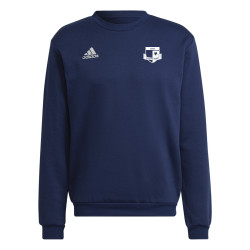 Dětská mikina adidas Entrada 22 Sweat Top SK Rapid Psáry