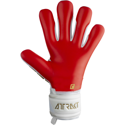 Brankářské rukavice Reusch Attrakt Freegel Silver