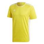 Dres adidas Entrada 18 krátký rukáv