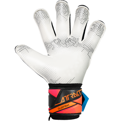 Brankářské rukavice Reusch Attrakt Advance Evolution GluePrint