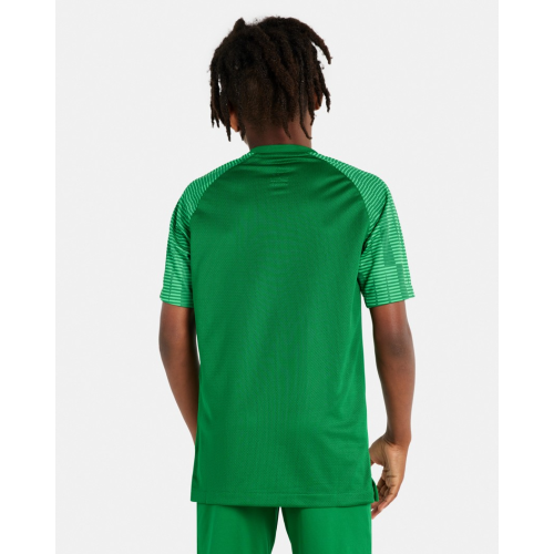 Dětský dres Nike Academy