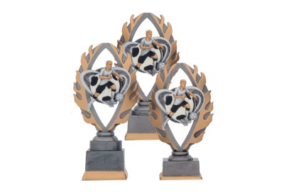 Trofej EDICE FOTBAL