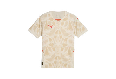 Brankářský dres Puma Goalkeeper