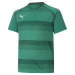 Dětský dres Puma teamVISION