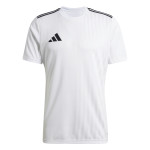 Dres adidas Campeon 25