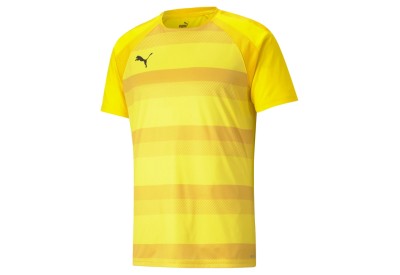 Dres Puma teamVISION