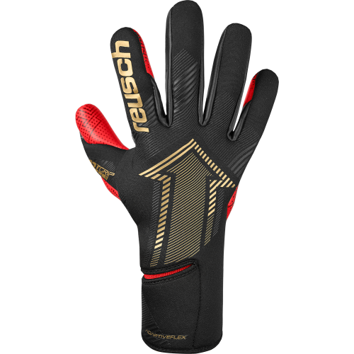 Brankářské rukavice Reusch Fastgrip Gold X GluePrint