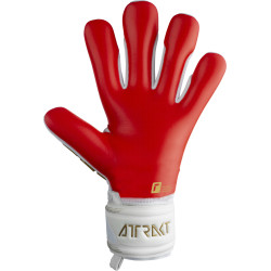 Brankářské rukavice Reusch Attrakt Freegel Silver