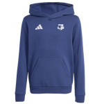 Dětská mikina s kapucí adidas Entrada 26 SK Rapid Psáry