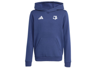 Dětská mikina s kapucí adidas Entrada 26 SK Rapid Psáry