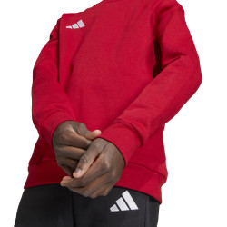 Dětská mikina adidas Entrada 26 Sweat Top