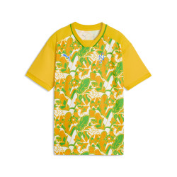 Dětský tréninkový dres Puma Neymar JR Brazil Passion