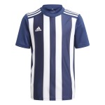 Dres adidas Striped 21 krátký rukáv