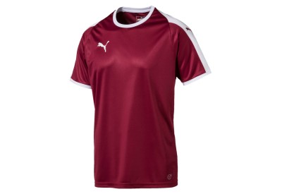 Dres Puma LIGA