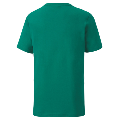 Dětské triko Puma teamGOAL 23 Casuals Tee