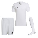 15x fotbalový set adidas Entrada 22