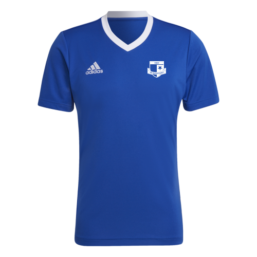 Dětský dres adidas Entrada 22 SK Rapid Psáry